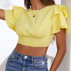 NWOT Ruffle Sleeve Top